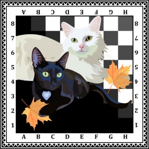 文字图文结合动物猫图形格子 文字图文结合动物猫图形格子