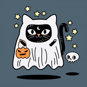 动物猫图形星型 动物猫图形星型