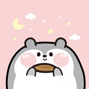 动物熊 动物熊