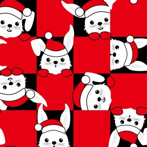 动物兔子 动物兔子