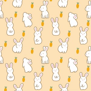 动物兔子 动物兔子