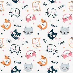 动物猫文字图文结合 动物猫文字图文结合