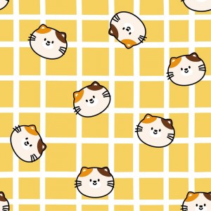 动物猫 动物猫