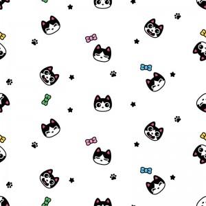 动物猫 动物猫
