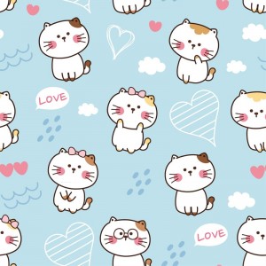动物猫 动物猫